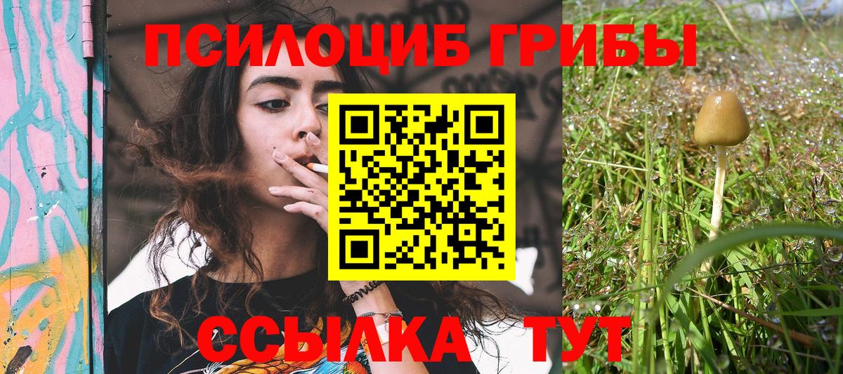 Псилоцибиновые грибы Psilocybe Фурманов