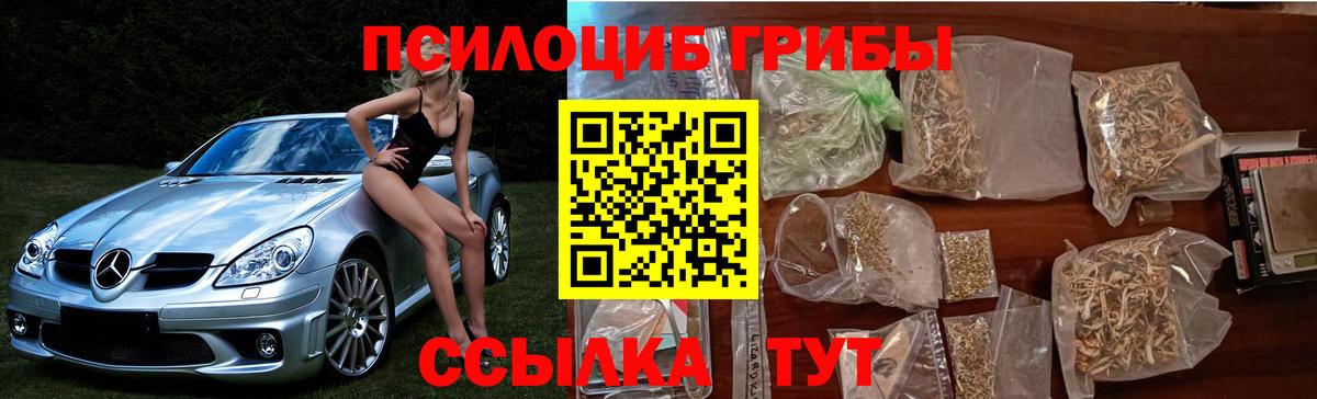 Фурманов  Псилоцибиновые грибы MAGIC MUSHROOMS  Вход с VPN 